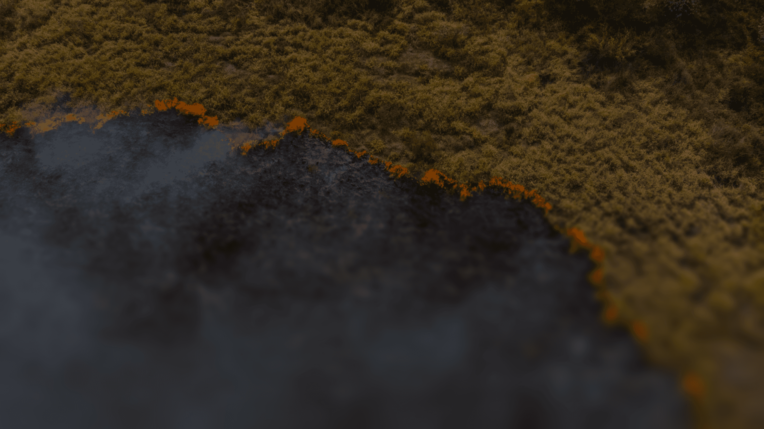 PROGRAM_CARD_DEFORESTATION_TITLE_KEY