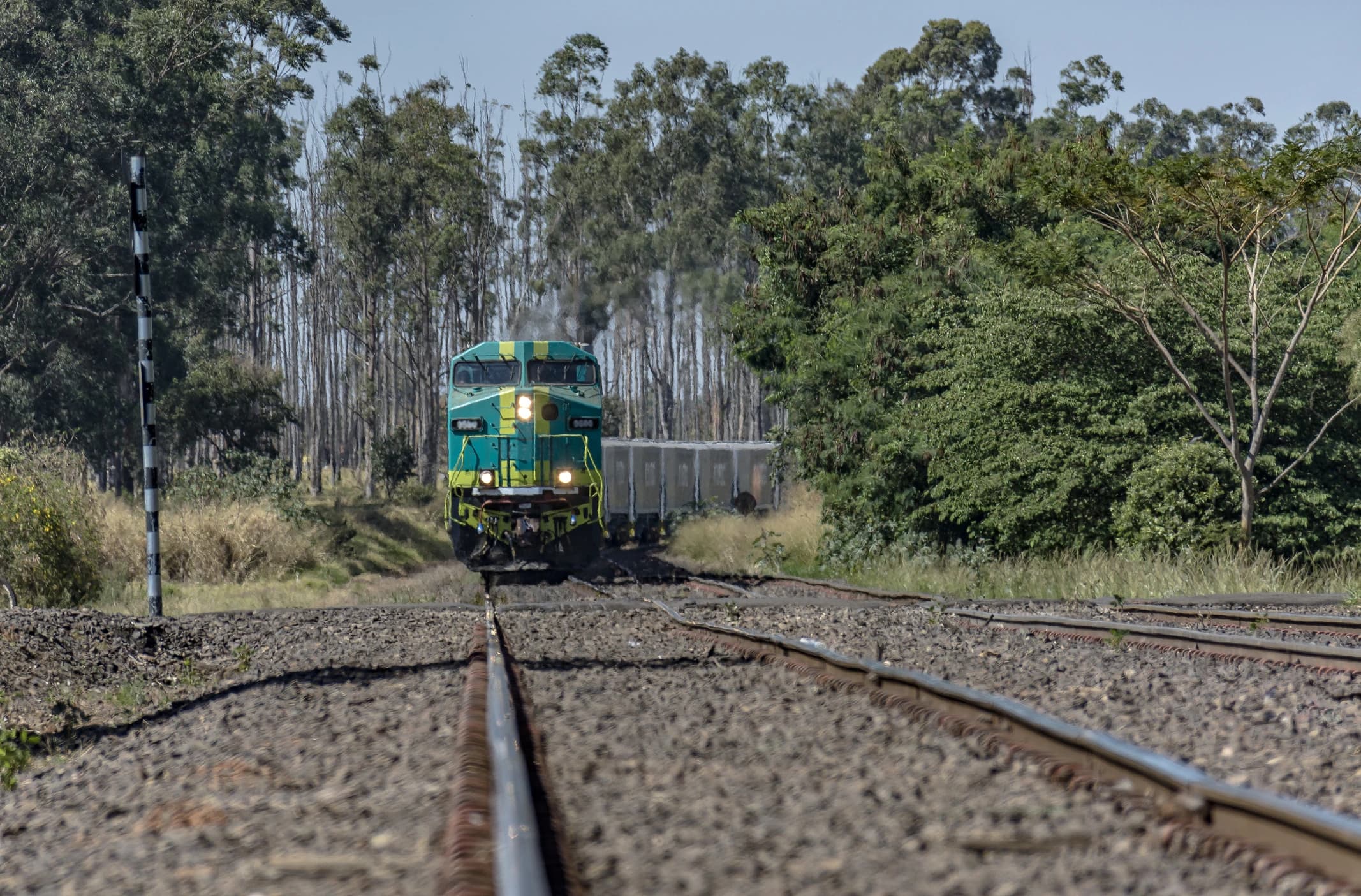 group of people working in microclimate